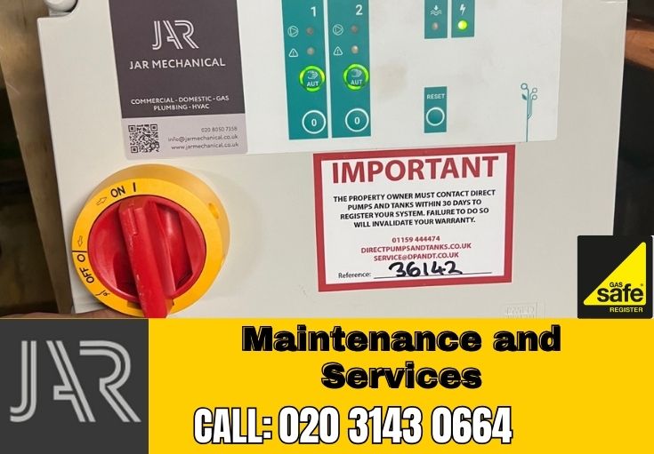 Domestic Maintenance and Services Balham